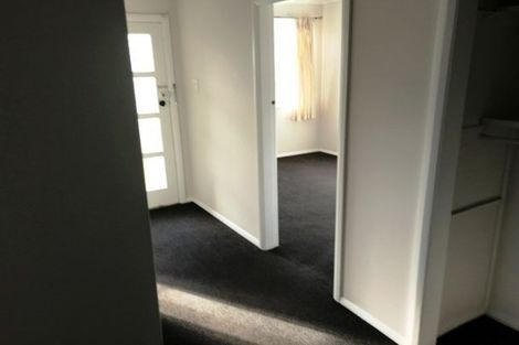 Photo of property in 51 Graham Street, Hamilton East, Hamilton, 3216