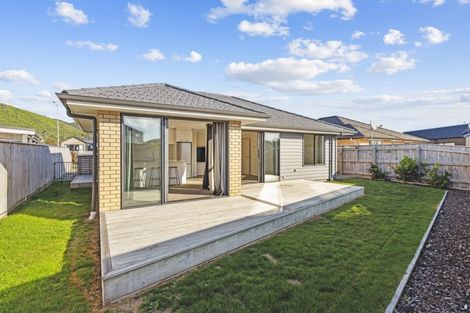 Photo of property in 5 Pohe Street, Waikanae, 5036