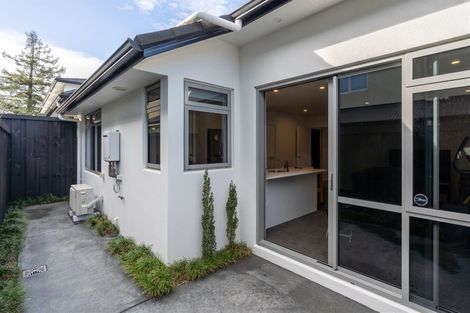 Photo of property in 17u2 Manning Street, Hamilton Central, Hamilton, 3204