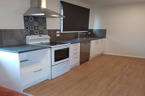 Photo of property in 20 Winchester Street, Levin, 5510