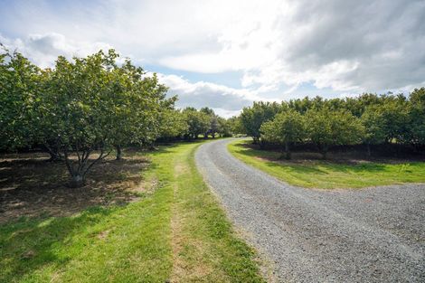 Photo of property in 38b Winton Lorneville Highway, Winton, 9781