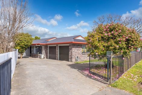 Photo of property in 310 Clarkin Road, Fairfield, Hamilton, 3214
