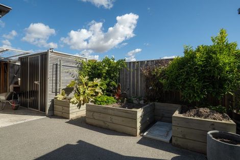Photo of property in 42 Grigg Drive, Witherlea, Blenheim, 7201