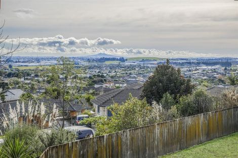 Photo of property in 41 Hilltop Road, Flat Bush, Auckland, 2019