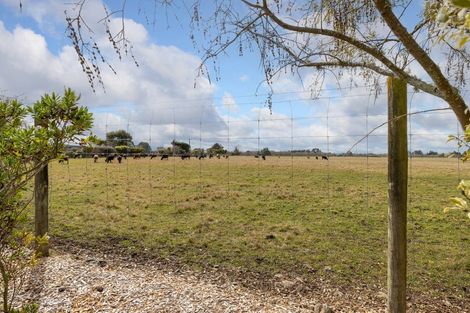 Photo of property in 98 Norfolk Road, Waingawa, Carterton, 5791