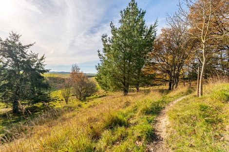 Photo of property in 231 Newlands Road, Incholme, Oamaru, 9492