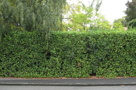 Photo of property in 70 Belt Road, Allenton, Ashburton, 7700