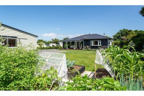 Photo of property in 60 Petrie Street, Richmond, Christchurch, 8013