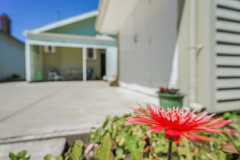 Photo of property in 61 Cook Street, Hamilton East, Hamilton, 3216