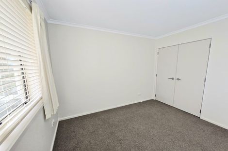 Photo of property in 217b Maungatapu Road, Maungatapu, Tauranga, 3112