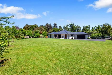 Photo of property in 4 Dunbar Place, Highlands Park, New Plymouth, 4312