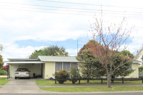 Photo of property in 195 Tamamutu Street, Taupo, 3330