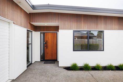 Photo of property in 99b Linton Street, West End, Palmerston North, 4410