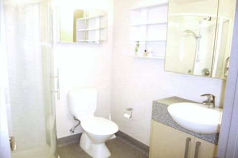 Photo of property in Dual Apartments, 108/142u Vivian Street, Te Aro, Wellington, 6011