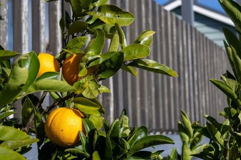 Photo of property in 54 Rayner Road, Huntly, 3700