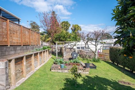 Photo of property in 16 King Street, Te Puke, 3119