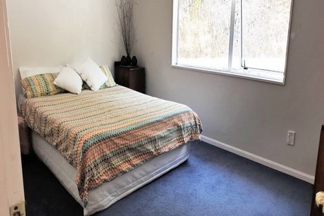 Photo of property in 105 Irishtown Road, Thames, 3500