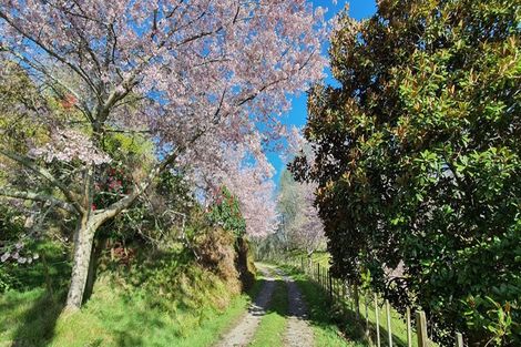 Photo of property in 57 Mervyn Place, Ohauiti, Tauranga, 3112