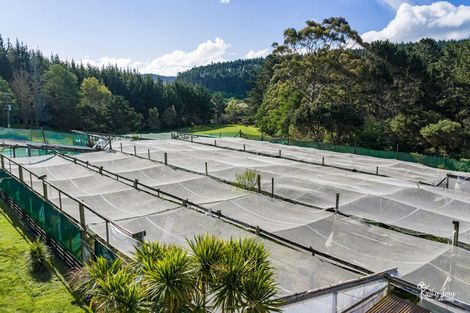 Photo of property in 70 Rototuna Road, Pouto, Te Kopuru, 0391