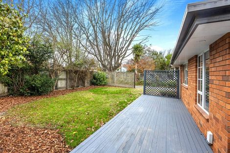 Photo of property in 39 Severn Street, St Albans, Christchurch, 8014