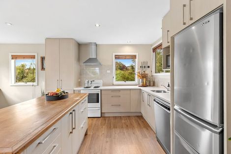 Photo of property in 70 Beech Street, Wanaka, 9305