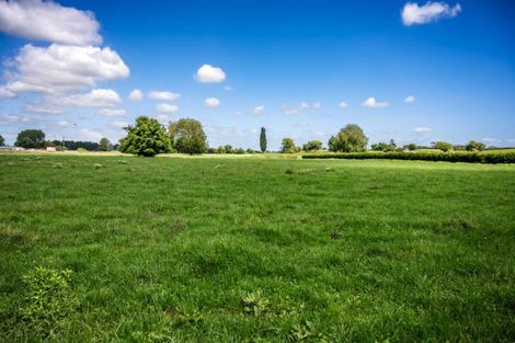 Photo of property in 319 Pirongia Road, Te Awamutu, 3876