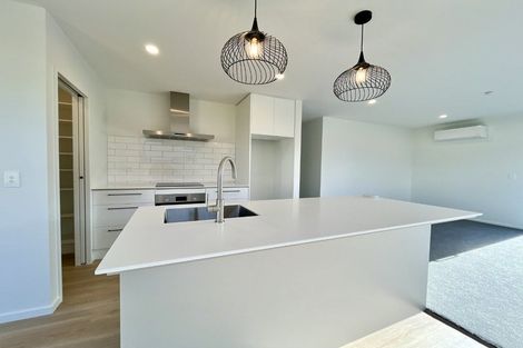 Photo of property in 21 Rita Angus Road, Belfast, 8051