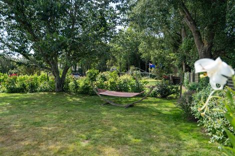 Photo of property in 4/193 Racecourse Road, Cambridge, 3493