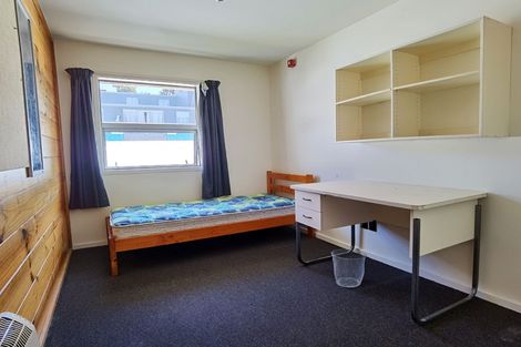 Photo of property in Drummond Street Flats, 15/19u Drummond Street, Mount Cook, Wellington, 6021