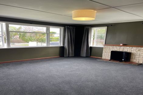 Photo of property in 14 Salisbury Avenue, Terrace End, Palmerston North, 4410