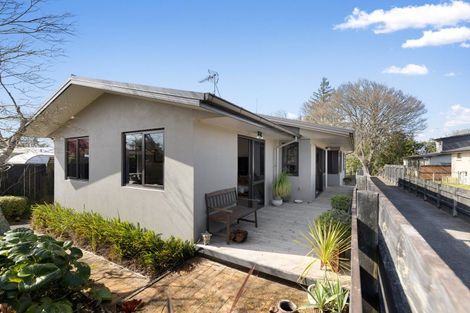 Photo of property in 32 Donny Avenue, Chartwell, Hamilton, 3210