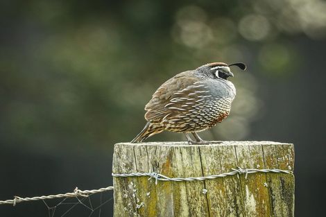 Photo of property in 103 Wharekaho Sh25 Road, Wharekaho, Whitianga, 3592