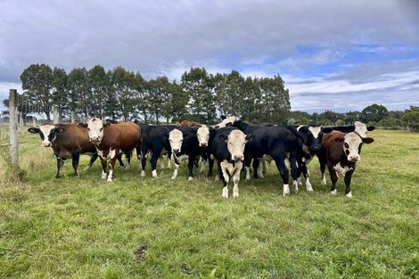 Photo of property in 35 Pioneer Highway, Mataura, Gore, 9774