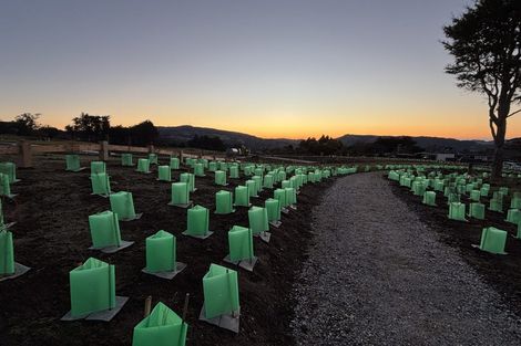 Photo of property in 195 Wakari Road, Helensburgh, Dunedin, 9010