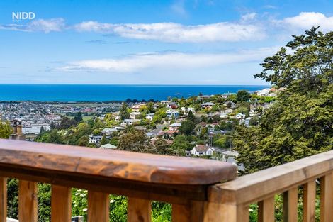 Photo of property in 9 Brunel Street, Mornington, Dunedin, 9011