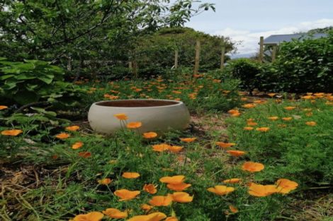 Photo of property in 4 Tarawa Street, Paekakariki, 5034