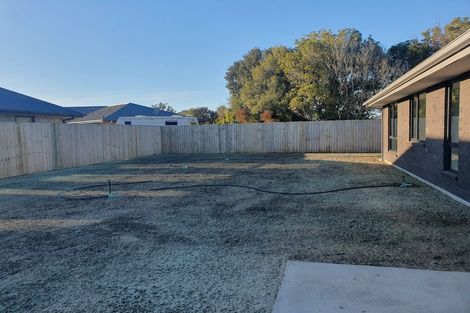 Photo of property in 41 Collisson Street, Leeston, 7632