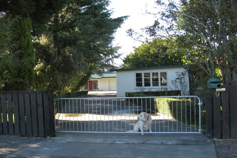 Photo of property in 9 Mole Street, Greytown, 5712