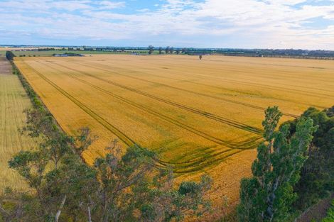 Photo of property in 215 Falvey Road, Levels, Timaru, 7975