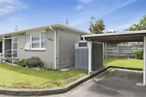 Photo of property in 3/3 Copeland Street, Hutt Central, Lower Hutt, 5011