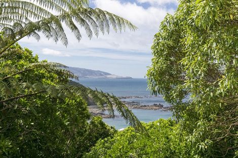 Photo of property in 177 Buckley Road, Southgate, Wellington, 6023