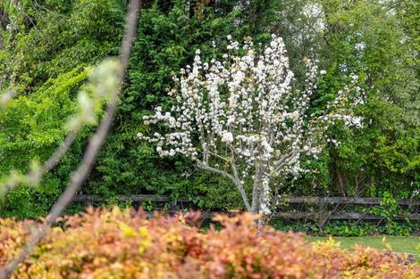 Photo of property in 69c Matangi Road, Matangi, Hamilton, 3284