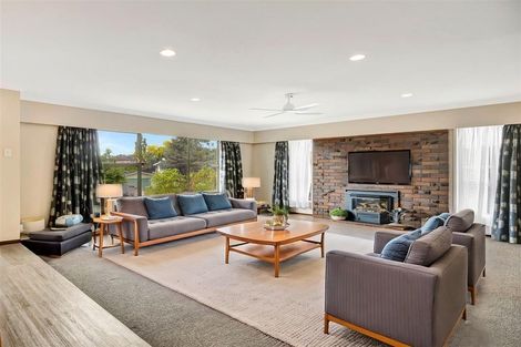 Photo of property in 20 Sunnyhills Avenue, Glenview, Hamilton, 3206