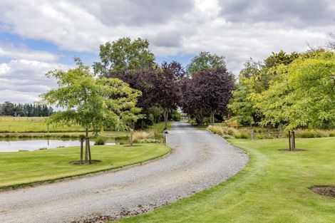 Photo of property in 267 Easterbrook Road, Fernside, Kaiapoi, 7691