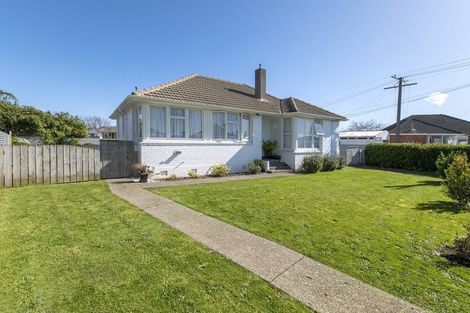Photo of property in 4 Mahoe Street, Levin, 5510