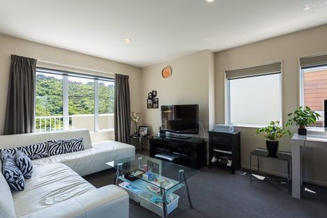 Photo of property in 42u2 Hoover Street, Brooklyn, Wellington, 6021