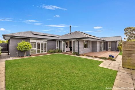 Photo of property in 43 Sunline Avenue, Lincoln, 7608