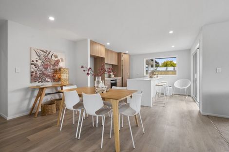Photo of property in 20a Denbigh Street, Feilding, 4702
