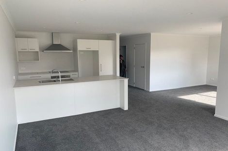 Photo of property in 4d Hamilton Road, Cambridge, 3434