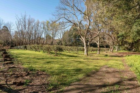 Photo of property in 250 Upper Manaia Road, Upper Plain, Masterton, 5888